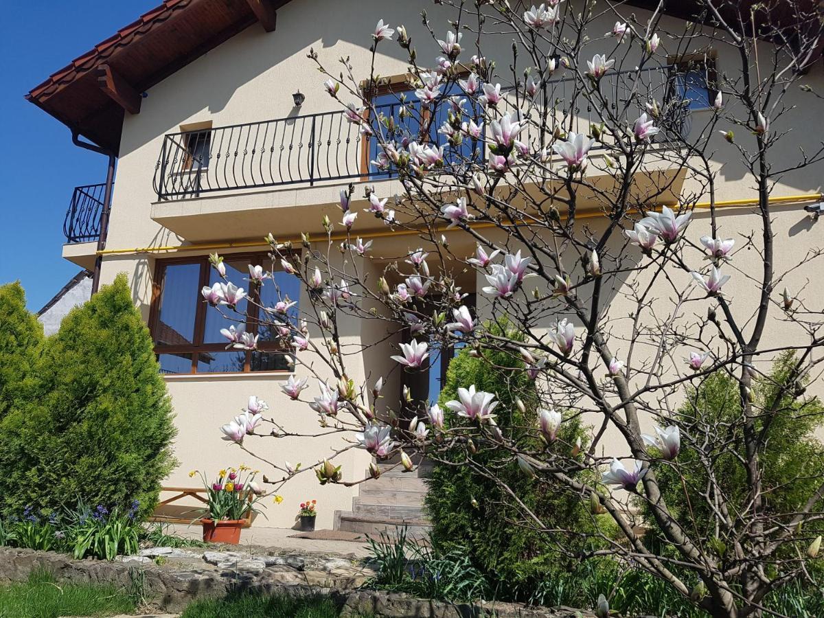 לינה וארוחת בוקר סאטו מארה Casa Irinella מראה חיצוני תמונה